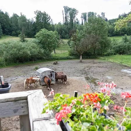 Appartamento Ferienwohnung Maria Wangen im Allgäu