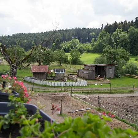 Ferienwohnung Maria Appartamento Wangen im Allgäu